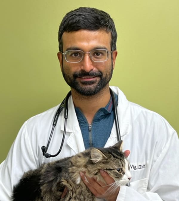 Dr. Vighnesh Prabhu, Ypsilanti Veterinarian