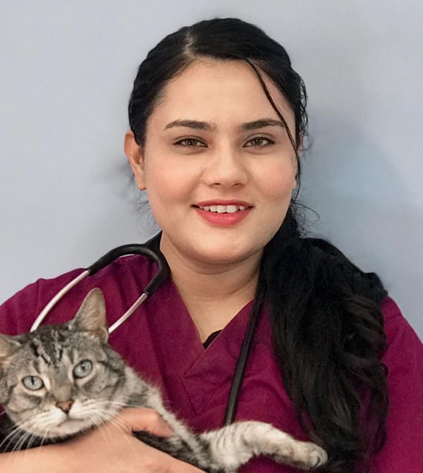 Meet Dr. Manpreet (Goldy) Morton, Ypsilanti Veterinarian