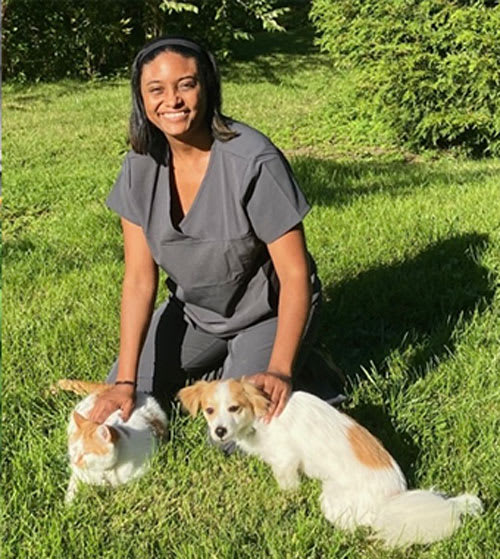 Dr. Shannon Knall, Ypsilanti Veterinarian